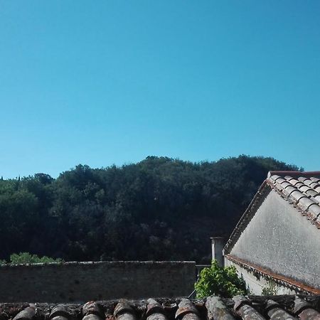 Maison Au Village Du Livre Montolieu Exteriér fotografie